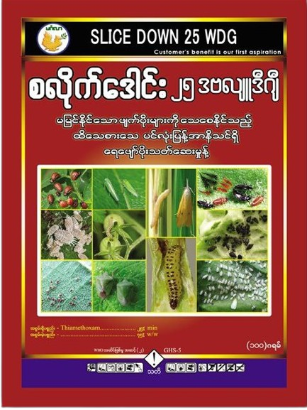 hinthar_image_1