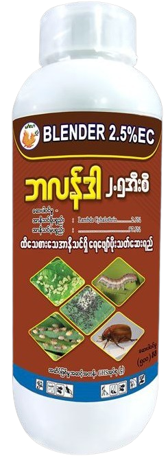hinthar_image_2