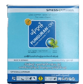 minmahor_image_2