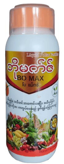 minmahor_image_4