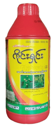 minmahor_image_5