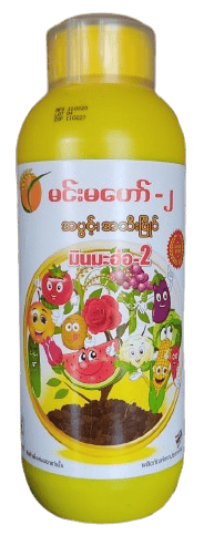 minmahor_image_6